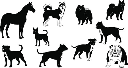 Silhouette collection of various dog breeds and a horse, detailed vector animal illustration showcasing pets, working animals,