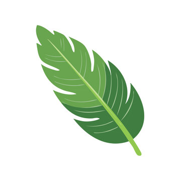 Vibrant green stylized tropical leaf illustration with a distinct central vein perfect for nature designs