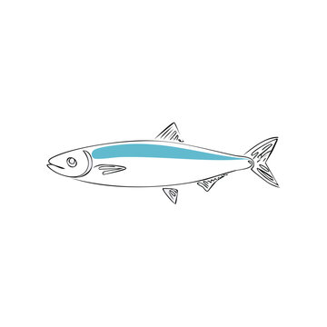 Stylized drawing of a slender fish featuring a distinct blue stripe, aquatic animal art