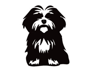 lively Yorkshire Terrier dog artwork