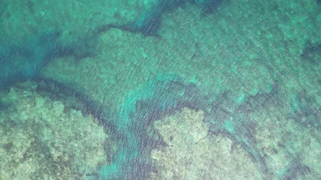 Aerial view of vibrant turquoise waters meeting the textured patterns of coral reefs beneath the surface, creating a mesmerizing seascape, Siargao, Caraga, Philippines.