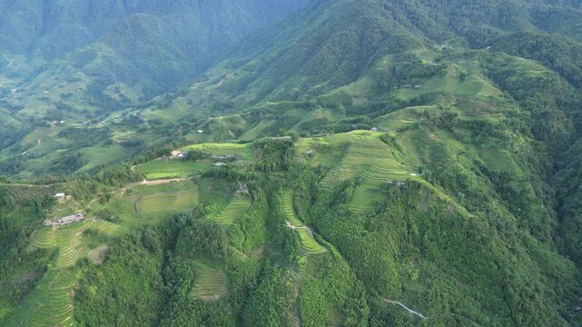 Aerial view of the verdant rice terraces cascading down the lush mountains, a vibrant tapestry of green in the landscape, Sa Pa, Lao Cai, Vietnam.