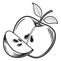 Illustration of a whole apple and a slice with seeds and leaves in black and white outline style
