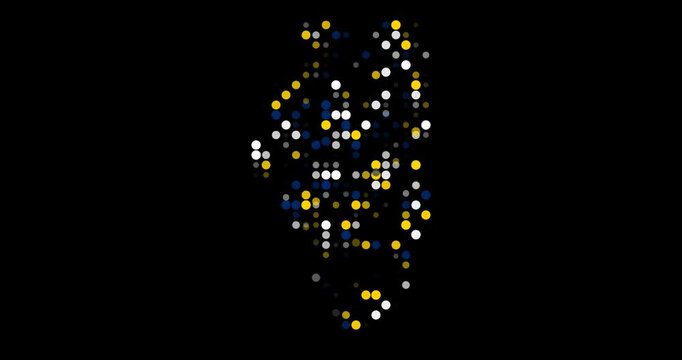 Data Visualization Particle Illinois State Shape