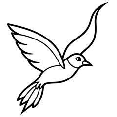 A bird soars gracefully, its wings spread wide, isolated on