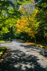 Autumn Park Entrance