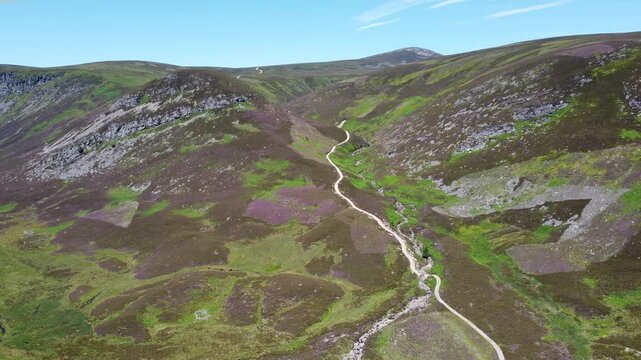 Aerial view of a pale path snaking through heather-clad hills, showcasing a landscape painted in shades of green and purple under a clear sky, Brechin, Scotland, United Kingdom.