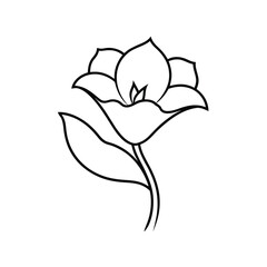 Simple outline drawing of a beautiful flower with leaves isolated on white background