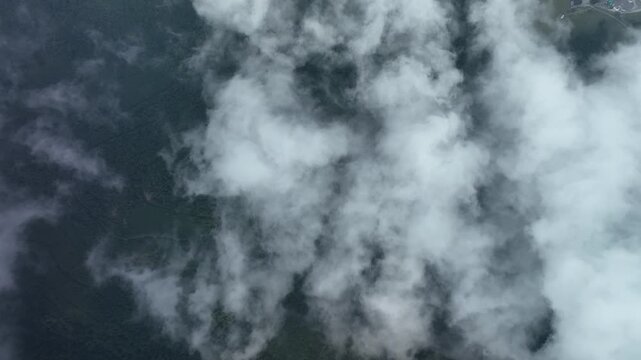 Aerial view of fluffy white clouds interspersed with patches of dark green trees, creating a stunning contrast, Fellering, Grand Est, France.