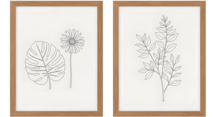 Two framed line art drawings of botanical elements a monstera leaf and a daisy isolated on a transparent background