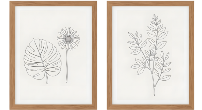 Two framed line art drawings of botanical elements a monstera leaf and a daisy isolated on a transparent background