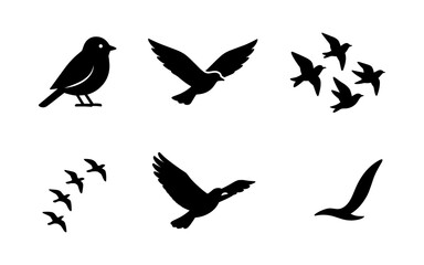 Fototapeta premium Silhouette bird collection: flying and perched avian designs
