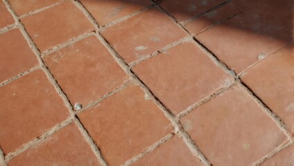 Close-up of rustic terracotta floor tiles with visible grout lines.