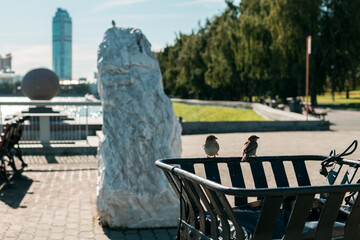 Two birds are sitting on a trash can in a park