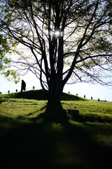 人は歩いていく