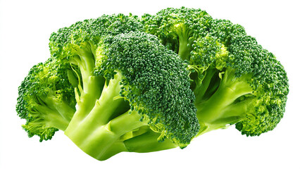 broccoli isolated on white background