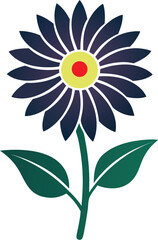 African daisy flower illustration