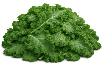 Fresh kale leaves pile, a healthy superfood ingredient for vegan cooking and nutritious diets