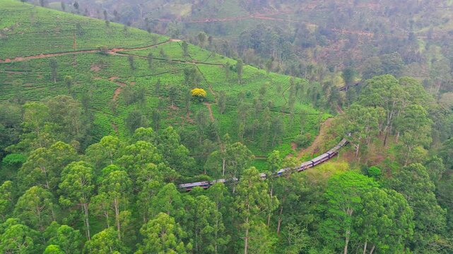 Aerial Tracking Shot of Mountain Train Moving Through Green Trees to Iron Bridge