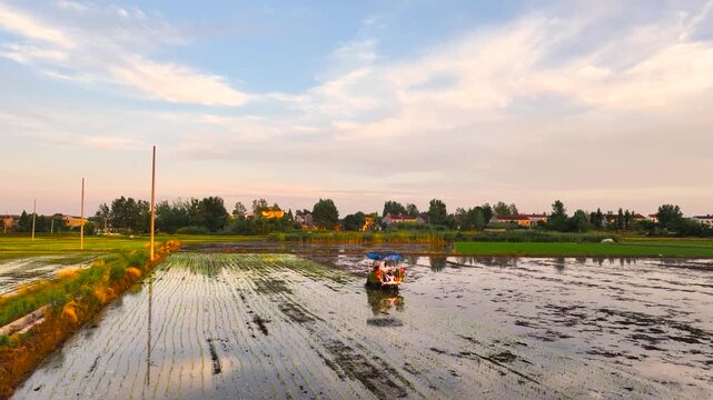 Rice Transplanter Machine in Flooded Paddy Field - Aerial Agricultural View