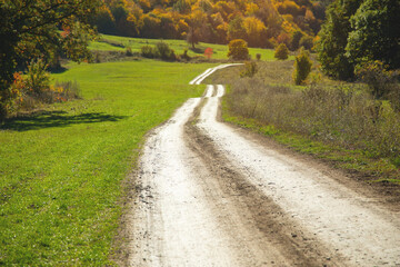 Beautiful view. The road in the autumn forest © andranik123