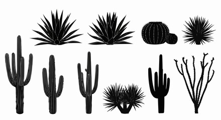 Silhouetted Desert Flora - Cacti and Succulents Collection. © Kang