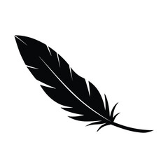 Fototapeta premium Raven Feather Fallen Icon Vector Illustration