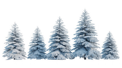 Fototapeta premium Snow-covered pine trees isolated for winter holiday design isolated on transparent background