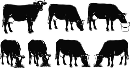 Cow silhouette collection showing grazing and standing dairy cattle with grass and bucket details, perfect vector artwork for farm, livestock and agriculture design