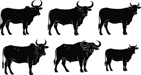 Silhouette collection of cows and bulls, farm animal illustrations, livestock shapes, cattle outline graphics, agriculture design elements for rural artwork