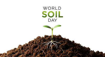 Tiny green seedling with visible roots growing from rich soil on world soil day