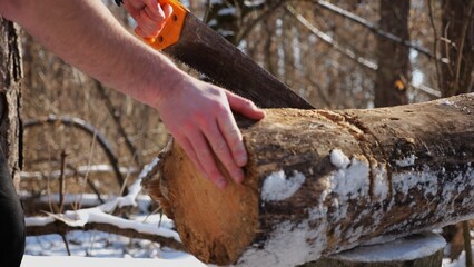 Male arm sawing a log in sunny winter forest. Strong guy working with a saw in snowy woodland....