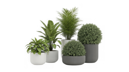Lush green indoor plants in stylish pots, diverse botanical group isolated on transparent background