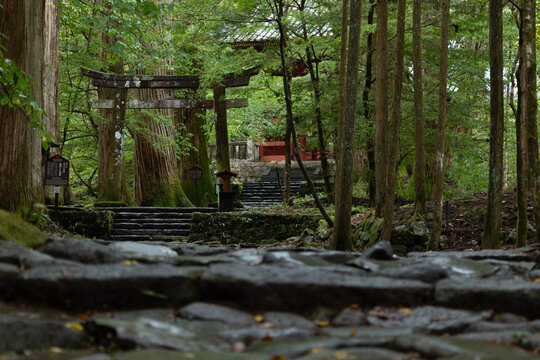 神社の参道
