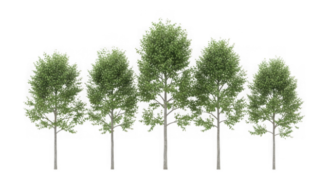 Row of green leaf deciduous trees isolated on white background isolated on transparent background