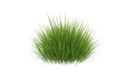 Vibrant green grass bush for landscaping and natural designs isolated on transparent background