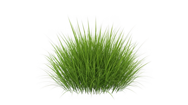 Vibrant green grass bush for landscaping and natural designs isolated on transparent background