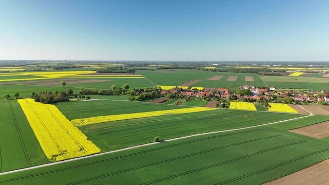 Aerial View of Vibrant Rapeseed and Farmland Landscape in Poland