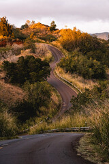 Canyon Drive auf Hawaii. Kawaii Highway durch die Natur.
