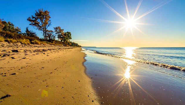 Sunny beach scene, bright sun reflecting on the water and sand. Trees line the coast