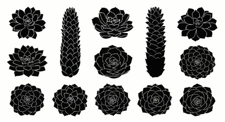 Collection of Black and White Succulent Silhouettes.