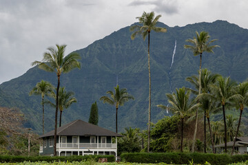 Strandhaus auf Hawaii. Wasserfall in den Bergen und Palmen. Insel Harmonie.