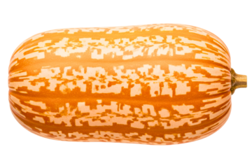 Striped delicata squash with orange and yellow patterns isolated on transparent background