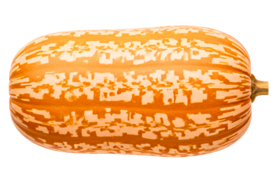 Striped delicata squash with orange and yellow patterns isolated on transparent background