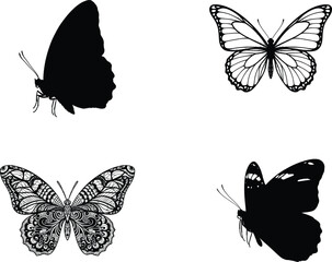 Minimalist line art collection butterfly and floral illustrations on white background for design
