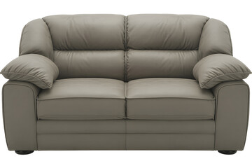 Shop modern grey leather loveseat sofa for living room furniture online now