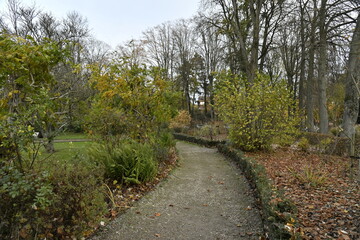 Chemin au parc de la Dodaine en automne à Nivelles (Brabant Wallon)