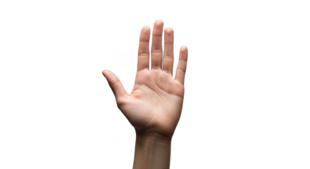 Open human palm raised up showing five fingers isolated on transparent background