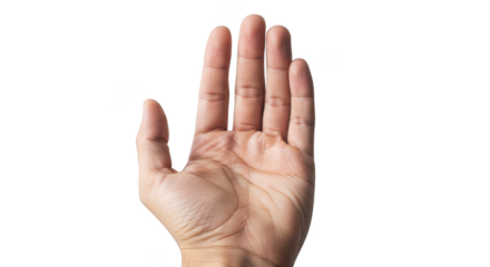 Human hand showing open palm facing forward isolated on transparent background