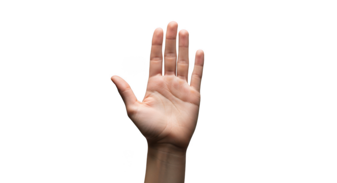 Open human palm raised up showing five fingers isolated on transparent background
